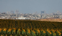 new/gaza-Ronen